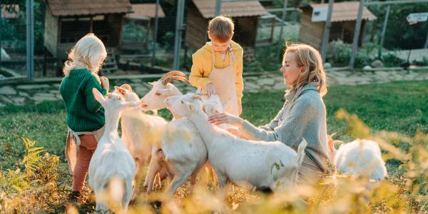 Logeren bij de boer met kinderen