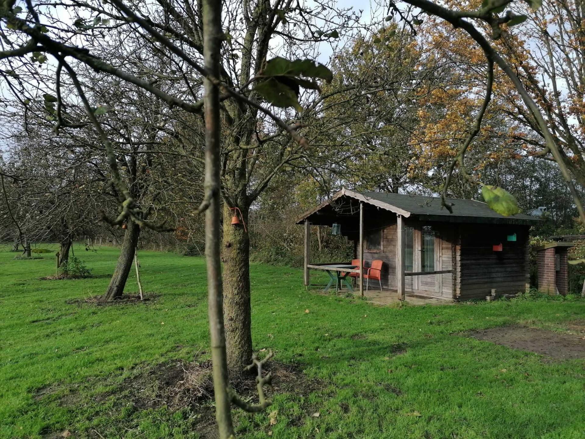 Trekkershut op camping De Cinquant in Noord-Brabant